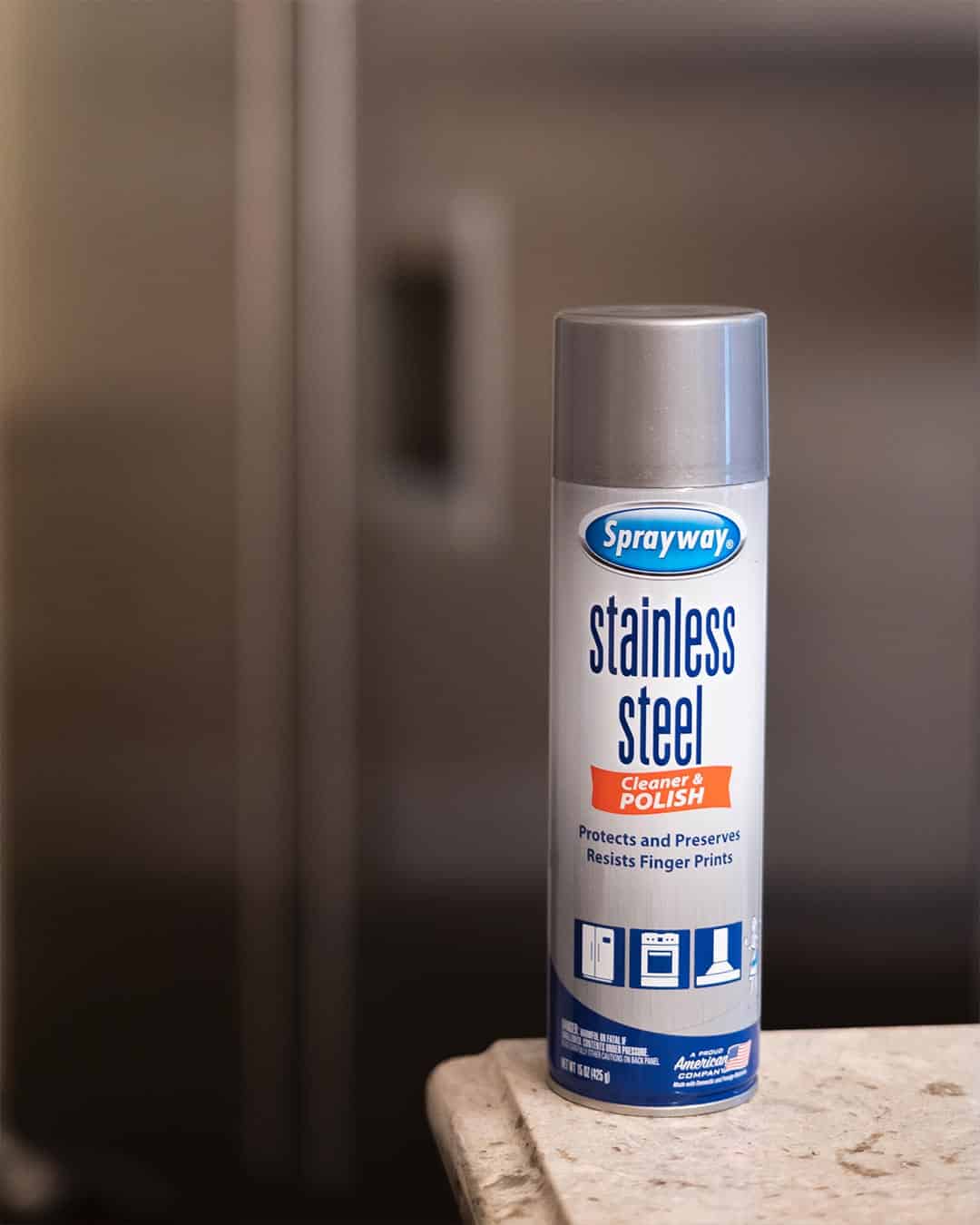 Stainless Steel Cleaner - Sprayway Oil-Based Aerosol Spray